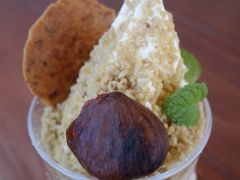 中津川のつぎは恵那です。ここの栗パフェを食べずに秋は来ません。