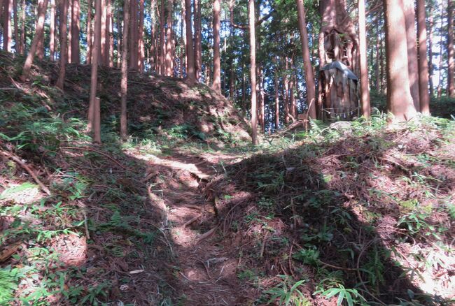 奥三河の続日本百名城巡りです。古宮城は、三河国北東部の作手盆地の中央部に立地します。城のすぐ西に、作手盆地を南北に縦貫する作手街道が走り、城の南側には作手街道から分岐した街道が東に伸び、伊那街道に通じる交通の要衝の地です。