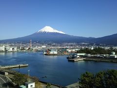 田子の浦ゆ　うち出でてみれば　真白にそ