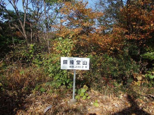 山歩き 埼玉県寄居町 鐘撞堂山(330.2M)(標高差240M) 全行程 3時間42分 寄居駅~(20分)天正寺~(56分)鐘撞堂山~(26分)円良田湖~(21分)少林寺 ~(21分)善導寺 ~(9分)正龍寺~寄居駅(17分)寄居駅<br />「日時」2017年11月9日 晴れ<br />「アクセス」JR八高線武蔵寄居駅<br />「コース概要」一人で歩く。 (10;26)(0;00)出発。北に向かう。国道140号線を横切る。(0;14)左へ曲がる。(0;20)天正寺に到着。境内散策。こじんまりした寺。本数は少ないが紅葉がきれい。(0;24)来た道を分岐までもどる。(0;29)分岐を左へ。舗装道を緩やかに登る。(0;40)大正池通過。トイレと東屋がる。(0;44) 分岐左へ。鬱蒼とした木の下の砂利道に入る。(0;51)分岐を右の山道へ。少しきつい登りの石道。(0;55)小さな耕作地を通過。直ぐ右折。すぐ少しきつい登り。(1;09)分岐を右の山へ。少しきつい登り。平坦な杉林を歩く。(1;15)分岐を右の山へ(左は円良田湖へ)。少し急な木段と石段。(1;20)鐘撞堂山山頂(330.2M)に到着。山頂には三角点、鐘、展望台がある。展望台からは寄居市街が見える。筑波山、東京のビル街も見えるが本日は霞んで見えない。昼食をとる。(1;35)出発。来た道を戻る。急下り(1;37)分岐を右の円良田湖(左は登ってきた道)。急下り。ところどころに紅葉が残っている。舗装道急下り。沢沿いの緩やかな舗装道を下る。(1;56)分岐を左へ。(1;58)少林寺分岐を右の円良田湖へ。(2;01) 円良田湖に到着。紅葉が残っている。ヘラブナ釣り客がいる。戻る。(2;04)少林寺分岐まで戻り、右の山道へ登る。2分ほど急登りする。(2;12)分岐を左へ。(2;13)羅漢山山頂に到着。釈迦三尊石造が立っている。下りは2本ある右(五百羅漢へ)の道を行く。歩きにくい急下りもある。(2;19)五百羅漢が始まる。多くあり数えられない。様々な表情を見せる五百羅漢。(2;25) 分岐右へ。直ぐ少林寺に到着。小さなお寺。(2;30)寺を出る。南に下り、秩父鉄道手前を左へ。(2;51)善導寺に到着。本堂の天井に描かれた百人一首の絵が色鮮やかに残っているのが印象的であった。(3;02)寺を出る。(3;12)正龍寺に到着。大きな仁王像がある山門が印象的である。墓の一番高いところに北條氏邦(北條氏康の四男)の墓がある。(3;25) 寺を出る。(14;08)(3;42)寄居駅に到着。紅葉を見るのが目的でしたが、所々に見ることができましたが、ほぼ終了している感がありました。山は標高差も少なく、歩き易いコースでした。更に寄居十二支守り本尊霊場8寺の内、4寺を訪れることができ満足できる山行でした<br />