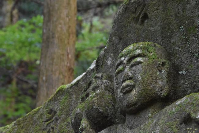 紅葉にはちょっとだけ早いけど、大山阿夫利神社下社までウォーキング！？<br /><br />公式ＨＰはこちら<br />http://www.afuri.or.jp/<br />