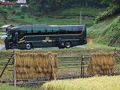木次・雲南の旅行記