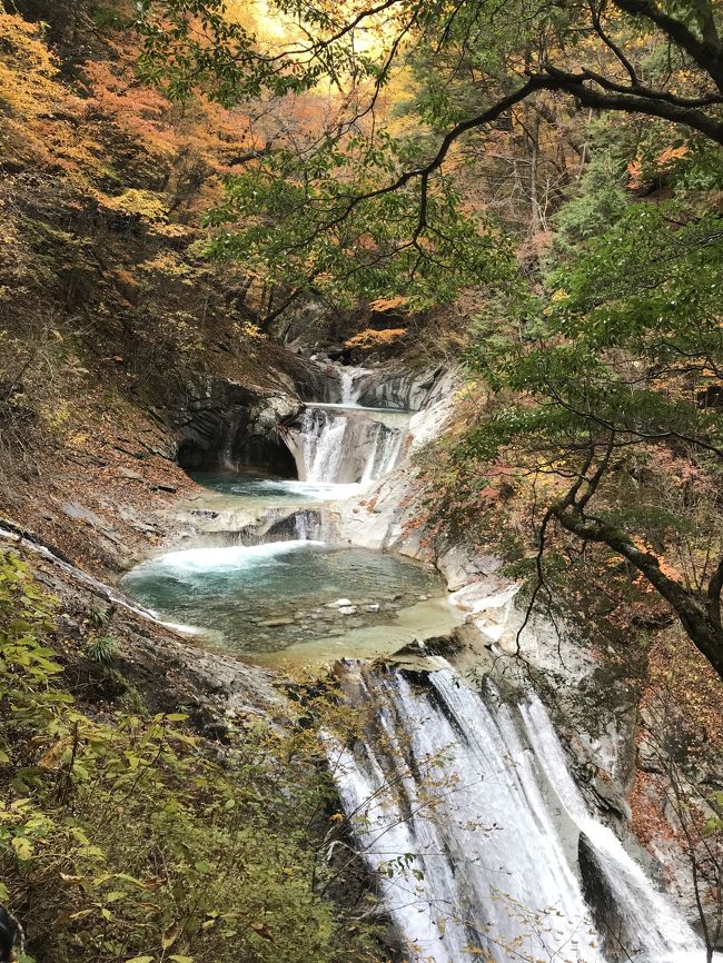 日帰りで西沢渓谷へ紅葉ハイキングに行ってきました。<br /><br />塩山駅を9時5分に出発するバスに乗車して1時間で西沢渓谷に到着しました。まずはバス停のすぐ横にあるドライブイン不動小屋でよもぎ餅を購入。お昼のおやつにするためです。<br /><br />歩き始めて少しするときれいなトイレがあります。本格的にハイキングコースに入る前にここを利用することをお勧めします。<br /><br />舗装された道を歩いて行くと何度か橋を渡り、いよいよ川べりへ。道は狭く、岩が多く濡れていて滑ります。スニーカーで来ている人もいましたがハイキングシューズの方が安全です。滝見の場所で滝を眺め、また岩場をどんどん歩きます。鎖と岩を使ってゆっくり一歩ずつ歩けば大丈夫です。途中河原でお昼タイム。流れていく川を見ながら食べるおにぎりは最高でした。入口で買ったよもぎ餅もしっかりよもぎの味がしておいしかったです。<br /><br />お昼を食べてからさらに歩いていよいよ見所の七ツ釜の滝へ。5段くらいになっているのは目で確認できました。紅葉もいい感じでした。<br /><br />上へ上へと登って西沢渓谷終了地点に到着。ここでお昼にしている人もたくさんいました。紅葉のいい時期というのもあって前が詰まって行列になって歩くほで今度いましたが、この西沢渓谷終了地点を過ぎてからはわりと空いていてスムーズに下ることができました。<br /><br />途中の大展望から見える山々の紅葉に感嘆しながらゆっくり下りました。そして最初トイレによった所に戻ってきました。もう一度トイレに寄ってからバス停へ。バスが来るまであと40分ほどありましたが、早く並ばないと座れないのでおやつなどを食べながら並んで待ちました。塩山駅までの帰路も無事座れてウトウトしました。<br /><br />西沢渓谷は登山ではないのでアキレス腱が伸びるような急勾配を登ることはありませんが、岩場を歩いたり登ったりすることが多かったです。水の流れを聞きながらのハイキングはとても気持ちよかったです。快晴で日差しが当たっているところはポカポカしていましたが、下りに入って日陰を歩くときは冷んやりしました。手袋を重宝しました。