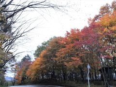 草津(群馬県草津町)の紅葉を見に行ってきました。