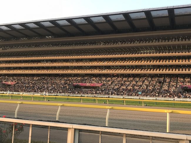 馬券とか全然興味ないのですが、競馬場とはどんなところか、行ったことがなかったので、半分暇つぶしで府中の競馬場を訪れた。当日は秋の天皇賞レースが開催されており、9万人の競馬ファンが訪れておりました。