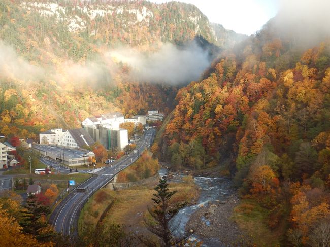 10月中旬、秋の北海道へ<br />素晴らしい紅葉に出会え、北海道の魅力を再認識。<br />初めての帯広もお気に入りの街となりました。<br /><br />日程：<br />10月12日(金)：羽田ー旭川ーレンタカーにて層雲峡へ(泊)<br />10月13日(土)：層雲峡紅葉散歩ー銀河・流星の滝ー三国峠ー<br />　　　　　　　糠平温泉郷ーナイタイ高原牧場ー帯広(泊)<br />10月14日(日)：－愛国駅ー幸福駅ー六花の森カフェー帯広空港ー羽田<br /><br />初日は旭川空港から層雲峡まで雨のドライブ。<br />翌朝、晴れて素晴らしい紅葉散歩を楽しみました。<br />層雲峡の紅葉、圧巻でした。<br /><br /><br />