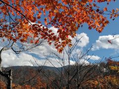 2018紅葉3　 小谷村鎌池紅葉は遅すぎました