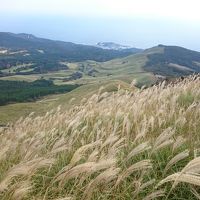 1泊2日 東伊豆 (前編) 細野高原のすすきと食べるお宿 浜の湯 