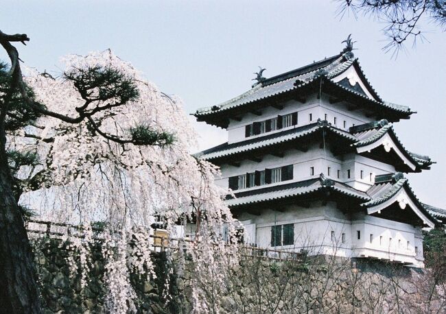 ゴールデンウィークに角館と弘前城の桜を中心に<br />お花見に行った旅行です。