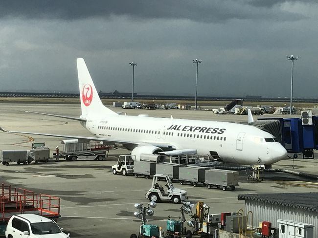 名古屋でのイベントがあり、飛行機を利用しました。<br />羽田空港発のANAは滞在時間が短くなるので、JALを利用することにしました。<br />しかし、名古屋行きの往路が成田空港発しか取れず、行きは成田空港発、<br />帰りは羽田空港着になりました。<br /><br />成田ー中部空港間 JALの45日前までの予約「先得割引タイプB」で8,250円。<br />中部空港ー羽田間 JALの45日前までの予約「先得割引タイプB」で7,300円。<br /><br />日本航空なので成田空港第2ターミナルの国内線を利用します。<br />去年、JALビジネスクラスでハワイに行って以来のターミナル2です。<br />これまで入ったことのなかったラウンジに初潜入することができました。<br /><br />成田国際空港第2ターミナルにある以下のラウンジを巡ります。<br /><br />＜クレジットカード会社ラウンジ＞<br />◇ 『T.E.I. LOUNGE（TEIラウンジ）』<br />『ビジネス＆トラベルサポートセンター』（本館4F〔出国手続き前のエリア〕）<br /><br />◇ 『IASS EXECUTIVE LOUNGE 2（アイ・エー・エス・エス <br />エグゼクティブ ラウンジ2）』（本館4F〔出国手続き前のエリア〕）<br /><br />＜ワンワールド加盟航空会社のラウンジ＞<br />◇ 日本航空のラウンジ『Sakura Lounge（サクララウンジ）』（本館3F）