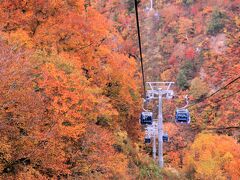 ■ 紅葉の絶景空中散歩の旅　苗場ドラゴンドラで燃えるような紅葉の中へ突入