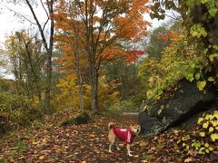 ワンコと旅行♪紅葉を求めて…五色沼と猪苗代を散策【後編】