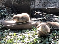 上野公園／上野動物園と国立科学博物館