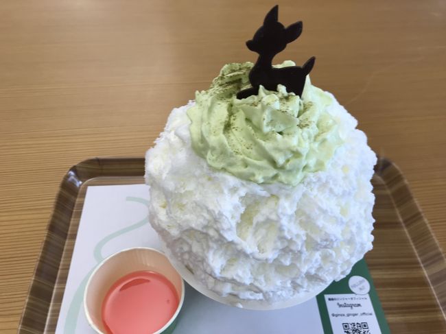 JAPAN KAKIGORI EXPO 2018 in NARA が開催！　カキゴーラーとしては、２月でも行かねば！　冬こそかき氷。