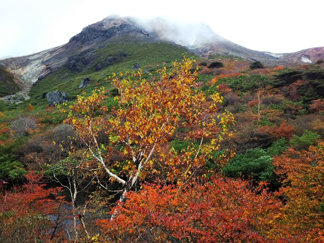 例年のごとく、紅葉が綺麗な山々を探していて、那須･茶臼岳の紅葉がとても綺麗であることを知り計画を立てました。<br />首都圏近郊なので土日の混雑は半端ないだろうと東京経由で平日に登れるプランにしました。<br /><br />平日の宿泊にも関わらず、紅葉シーズンだからなのか、ホテルの宿泊者も多く、朝食には20分以上も待つ混雑ぶりでした。<br /><br />当日は、前日からの雨が翌朝になっても残っており、おまけに風も強かったので、ロープウェイは結局終日運休でした。<br />しばらく待って、雨が小雨になってきたので、久々に雨具を装着して登山開始しました。<br /><br />そんな天気の登山は視界も悪い上に、吹き飛ばされそうなほどの風の強さになり、一時待機もありました。<br />この日は茶臼岳山頂は目指さず、迂回路を経て姥ヶ平へ向かいました。<br /><br />姥ヶ平から見る紅葉がとても綺麗だったのですが、訪問日はやや最盛期を過ぎた感じでした。<br />もっぱら、ガスで視界が悪いので、最高の紅葉は見られませんでしたが、それでも楽しめました。<br /><br />最盛期に訪問できたらとても綺麗だと思ったので、再訪問したいです。<br /><br />下山後は、日光に宿泊し、まだ紅葉には少し早いいろは坂や中禅寺湖周辺を観光し、お気に入りの桐生名物のひもかわうどんを頂き、東京経由で帰路につきました。<br /><br />折角栃木に行くのでと訪問地を2か所にしましたが、日光の紅葉はまだ早かったので、雨の日になることも考えて、那須に2連泊しておけばよかったなと翌日が晴れただけに後悔の念が残りました。<br /><br />また来年挑戦するか。<br />