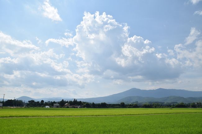 今年の夏休みの旅、前半は台湾、後半はこの東北ドライブ旅です。<br />そしてやっとここで最終日となりました。<br /><br />言わなければ誰も気付かないと思うのですが<br />5日めの旅行記の表紙と、この↑最終日の表紙、<br />山形と福島の違いは有れど穀倉地帯が並びました。<br />（ほぼ同じ写真です）<br /><br />この日はかみのやま温泉で一泊、高畠ワイナリーの後<br />秘境駅の板谷駅と峠駅に寄り、<br />福島県の大玉村と郡山で終了です。<br />秘境駅には謎の少女ヒデミに度肝を抜かれました。<br /><br /><br /><br />旅全体……7月19日～24日　　この旅行記……7月24日 6日め 最終日