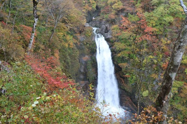 １０月の最終日、新聞やネットの紅葉情報によれば、山形県や宮城県の主な紅葉名所は、見頃になったようだ。<br />朝から降っていた雨も午前１１時頃には止んで、時折、陽が差すようになったので、今期２回目の紅葉狩りに出掛けることにしました。<br />今日のテーマは、「滝と紅葉のコラボ」。さて、雨上がりの秋景色は、晴れおじさんの心を「萌え」させてくれるかな？