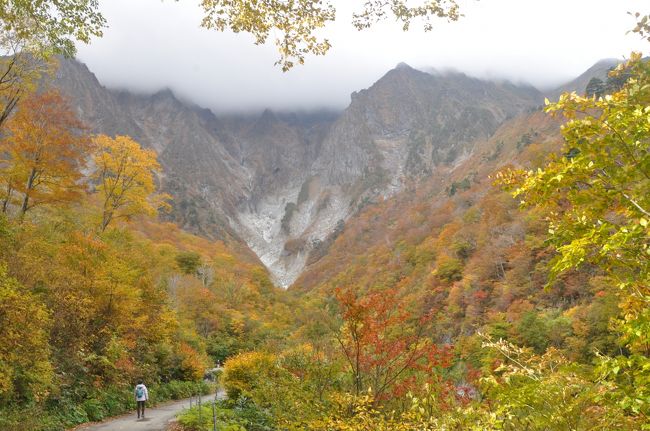 一回くらいは紅葉見たいよね!<br /><br />明日天気よさそうだしハイキングがてら行ってみるー<br /><br />ってな感じで10月25日谷川岳に行ってきました。<br /><br />今回は沢歩きではなく、沢巡りの方が正解かな?<br /><br />正直お天気の方はもう少し良くなると思っていたのですが<br /><br />最後まで山頂はガスがかかっていて残念でした。<br /><br />でも程よいウォーキングと山の紅葉を楽しむことが出来ました。<br />