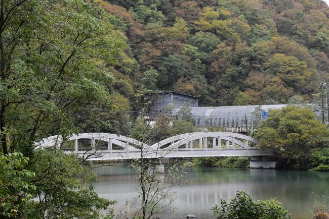 小谷村（おたりむら）は長野県の最西北部に位置し、南は白馬村、北は糸魚川市に接しています。<br />村の中央を日本海に北流する姫川が流れ、これを底辺に標高1,600m～2,800mの高山が連なり、これに囲まれた急峻な峡谷型の地勢になっています。<br />この姫川に沿って縦断する糸魚川静岡地質構造線により、もろくて弱い地質地帯が広範囲に及んでいます。<br />姫川に架かる素晴らしい曲線美の姫川橋は、戦前の鋼材のない中、長野県技師 中島武氏の創意により設計された世界最初の鉄筋コンクリート・ローゼ桁の橋です。<br />姫川橋のある中土付近の県道、鉄道（大糸線）は洞門と呼ばれるスノーシェッドで覆われ、雪崩・土砂崩れ等から守られています。<br /><br />大町市は長野県の北西部、松本平の北に位置し、「北アルプス一番街」といわれるように、その西部一帯にしゅん険な北アルプス山岳を連ねています。<br />大町山岳博物館は日本初の山岳をテーマとする博物館です。<br />ニホンカモシカの生態を解説する「山と生き物コーナー」や、企画展「北アルプス誕生」に興味をそそられました。<br /><br />今日は小谷村にある公共の宿「サンテインおたり」に宿泊し、部屋の窓から大糸線を走る列車を眺めます。<br />翌日、土木遺産の姫川橋、大町市の山岳博物館を訪れます。<br /><br />なお、旅行記は下記資料を参考にしました。<br />・小谷村「小谷村の紹介」<br />・サンテインおたり<br />・zenmai「信濃路の橋 姫川」<br />・白馬山麓・小谷村ぐるーりMAP<br />・長野県大町建設事務所「姫川橋」<br />・大町市「大町市の紹介」「おおまぴょんの部屋」