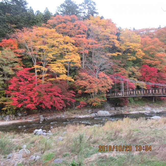 塩原温泉郷の紅葉が観たくて出かけました。未だ少し早いのかなと思っていたら「イロハモミジ」の樹木によっては完全に色づいている樹もあります。まちまちなのですね。伊東園グループ「ニューもみぢ」・「ホテル塩原」と二軒のホテルをハシゴしました。二軒のホテル間は約１００ｍの距離です。<br /><br />表紙の写真は、ホテル前の「箒川」<br />対岸の「紅葉・黄葉」・・・どちらの文字も「コウヨウ」とも発音します。<br />