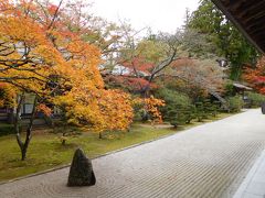 たまには車で／紀の国和歌山お寺めぐり＆高野山の紅葉＆龍神温泉で松茸堪能(^.^)