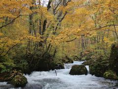 201810-03_紅葉の奥入瀬　Oirase gorge (Aomori)