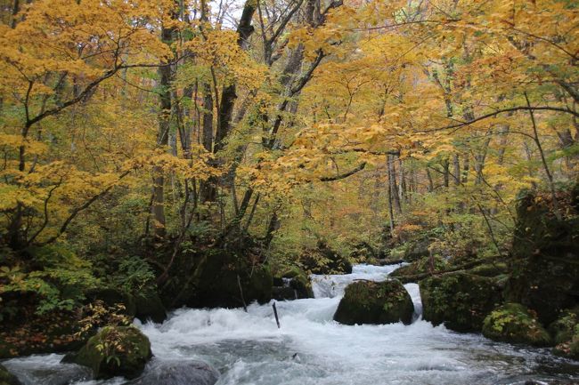 201810-03_紅葉の奥入瀬　Oirase gorge (Aomori)