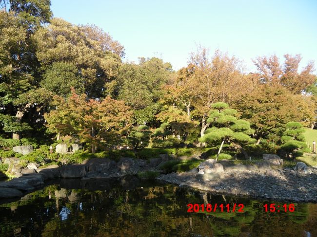 足立区の端っこに位置する花畑記念庭園<br />そんなに広くは無いけど綺麗で静かな庭園　池には沢山の錦鯉が泳いでいた。<br />庭園が好きな人ぜひどうぞ