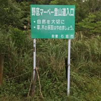 石垣島で初セグウェイ、初マーペー登山を楽しんで来ました(海は台風26号で大しけ)