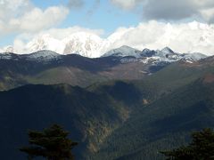 チベット旅行(8,000m峰五座大展望)２日目 成都(チェンドゥ)⇒世界柏樹王国林⇒セチラ⇒林芝(ニンティ)