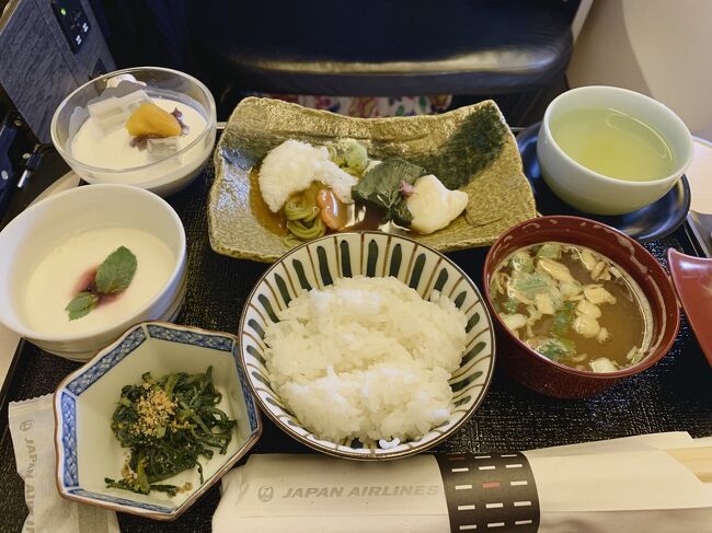 2019年 GW<br /><br />細かい成り行きは旅行記(1)で書きましたが、oneworldの『ビジネス世界一周券』を思い切って購入し、9日間で世界一周して来た一人旅。<br />香港、バルセロナ(3泊)、NY(3泊) の3都市のみでしたが、ビジネスクラスの機内ライフやラウンジ巡りも、この旅のお楽しみ♪<br />この旅行記(9)は、JALで始まり(HND-HKG)、JAL(JFK-HND)で終わった、そんな機内ライフがメインになってます。<br /><br />いろんな旅スタイルがあると思いますが、<br />2018年にJALステータス修行を初めて、国内外を問わず飛行機に乗って出かけることが私の旅の楽しみになり、一人で出かけることも多くなりました。<br />仕事と家族の受験で引きこもりがちになっていた私の日々の気分転換になったのは、飛行機でした。<br /><br />2020年の今年は、COVID-19により、そんな旅も出来なくなり、4トラに綴った過去の旅録を読み直しては、贅沢で幸せな時間だったなぁ…と、痛感している今日この頃です。<br /><br />**********************************************<br /><br />旅行記(1)のプロローグでは、『 oneworld世界一周券 』を購入するまでの経緯(ピーク時は世界一周券の方がお得!)や、PCで発券する方法、準備&手配したモノについて書きました。<br />https://4travel.jp/travelogue/11413200<br /><br />**********************************************<br /><br />【 旅 程 】<br /><br />4/28 日<br />【 JL29便 】HND 10:00発 → HKG 13:45着 <br />ヴィクトリアピーク / 尖沙咀 / シンフォニーオブライツ<br />旅行記(2) https://4travel.jp/travelogue/11489766<br /><br />4/29 月<br />【 CX321便 】HKG 1:30発 → BCN 8:20着<br />サグラダファミリア / サンパウ病院 / カサ・ミラ(ラ・ペドレラ) <br />《 ル メリディアン バルセロナ泊 》<br />旅行記(3) https://4travel.jp/travelogue/11418054<br /><br />4/30 火<br />コロニアグエル教会 / モンセラット修道院 / グエル邸 / サグラダファミリア夜景<br />《 ル メリディアン バルセロナ泊 》<br />旅行記(4) https://4travel.jp/travelogue/11419038<br /><br />5/1 水 <br />グエル公園 / カサ・バトリョ / ガバマール リゾート<br />《 ACホテル ガバマール泊 》<br />旅行記(5) https://4travel.jp/travelogue/11419039<br /><br />5/2 木 <br />【 AA67便 】BCR 11:15発 → JFK 13:50着<br />タイムズスクエア / 『ウィキッド』鑑賞<br />《 NYマリオットマーキス泊 》<br />旅行記(6) https://4travel.jp/travelogue/11419044<br /><br />5/3 金 <br />自由の女神 / グラウンドゼロ / チェルシーマーケット / アメリカ自然史博物館 / Top of the ROCK / Night Tour (byBus)<br />《 NYマリオットマーキス泊 》<br />旅行記(7) https://4travel.jp/travelogue/11419047<br /><br />5/4 土 <br />Uptown&Harlem Busツアー / メトロポリタン美術館 / MoMA / 『ライオンキング』鑑賞<br />《 NYマリオットマーキス泊 》<br />旅行記(8) https://4travel.jp/travelogue/11419048<br /><br />5/5 日 ★<br />【 JL5便 】JFK 13:25発 → 帰国へ<br />5/6 月 → HND 16:40着<br />旅行記(9) https://4travel.jp/travelogue/11419050<br /><br />**********************************************<br /><br />【 旅後記 】エピローグ ←概要を把握したい方はココから!<br />世界一周してみて<br />https://4travel.jp/travelogue/11419054<br /><br />【 為 替 】<br />1香港ドル=約15円<br />1ユーロ=約130円<br />1USドル=約116円