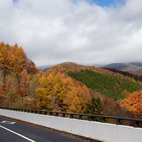 山の上は雪化粧紅葉はもう終わりかな？