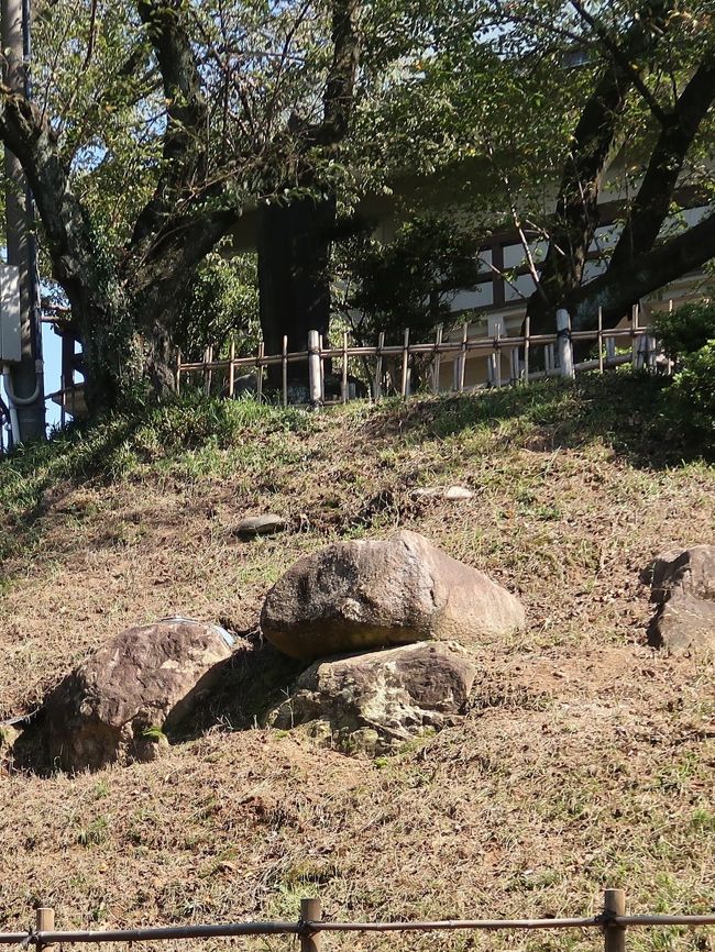 小牧山（こまきやま）は、愛知県小牧市にある標高86mの山。 かつて織田信長の居城であった、小牧山城（日本の城）があった。 現在は山全体が公園となっており、桜の名所としても知られる。公園の分類は「史跡公園」。<br /> 平野の真中にある為、山の頂上にある小牧城からは周囲を見渡す事ができる。山の大きさは、東西約600メートル、南北約400メートルである。山全体の総面積は、約21ヘクタール。北部に、タブノキがある。タブノキは、この地方では小牧山のみに自生している。全国にある城下町の嚆矢といわれる。<br /> <br />小牧山城（こまきやまじょう）は、日本の城。織田信長が美濃攻めの拠点として築城し、後の小牧・長久手の戦いでは、徳川家康の陣城となった。 <br />濃尾平野の独立峰である小牧山に築城された城で、織田信長が美濃攻めを終えるまでの4年間しか使用されなかった。このため、急造の砦に近いものと想像されていたが、近年の発掘調査の結果で、城郭を取り巻く三重の石垣（三段の石垣で一番下の段は腰巻石垣）が発見された。そして城の南部の発掘調査では、小牧山築城によって移転してきた住民によって営まれた町割も発見された。これにより小牧山城は戦時急造の城ではなく、清州城に代わる新たな拠点として築かれた城郭であることが判明した。現在は小牧山城が後に織豊系城郭と呼ばれる城郭体系の原点であるとされる。 <br />標高86mの小牧山頂上に本丸を築き、その周囲を三重の石垣で守りを固め、中腹も削平して数多くの曲輪を構築している。東麓の帯曲輪地区では、堀で仕切られた武家屋敷があったと推定される。この東麓の帯曲輪南端の区画は他の武家屋敷よりも敷地が広く、これが信長の屋敷ではないかと推測している。 安土城が初見とされる大規模な大手道は、この小牧山城が最初であったと推測されている。 小牧・長久手の戦いの際には、陣城として大掛かりな土木工事が行われ、山の周囲全体を土塁と堀で囲み、要所には防衛用の虎口を設けた。 <br /><br />天正12年（1584年）、羽柴秀吉と徳川家康が戦った小牧・長久手の戦いでは、家康がいち早く小牧山に目を付けて本陣を置き、、信長の築いた城跡の土塁、空堀などに大規模な改修が施され、「城」とみなせるほど強固な陣地が築かれた。急造「小牧山城」は、徳川勝利の一翼を担ったことになる。この一戦は、頼山陽により「家康公の天下を取るは大坂にあらずして関ケ原にあり。関ケ原にあらずして小牧にあり」と称揚された（『日本外史』）。 現在でも山中の各所に石垣、土塁、空堀、井戸跡、曲輪、虎口や若干の石垣などが残り、往時を偲ぶことができる。 <br />2018年時点、小牧市は発掘調査や見学案内に加えて、麓で「史跡センター」(仮称)の建設を進めている。 <br /><br />1563年（永禄6年）7月 - 織田信長が、本拠地を小牧山城に移転。<br />1567年（永禄10年） - 織田信長が、稲葉山城を攻略。「岐阜城」と名前を改め、小牧山から居城を移す。<br />1584年（天正12年） - 小牧・長久手の戦いの時に、徳川家康が小牧山城跡地を占拠。大規模な改修を行ない、自陣とする。<br />江戸時代 - 尾張徳川家の領地として保護を受ける。入山禁止に。<br />1927年10月26日 - 国の史跡に指定。<br />1930年（昭和5年） - 徳川家が小牧市に、小牧山を寄贈。<br />2007年（平成19年）3月31日 - 小牧市歴史館リニューアルオープン。<br />2017年（平成29年）4月6日 - 続日本100名城（149番）に選定。<br />（フリー百科事典『ウィキペディア（Wikipedia）』より引用）<br /><br />小牧山　については・・<br />http://www.city.komaki.aichi.jp/admin/event_1/midokoro/10983.html<br />https://www.aichi-now.jp/spots/detail/24/<br /><br />日本の戦国時代は、15世紀末から16世紀末にかけて戦乱が頻発した時代区分である応仁・文明の乱以後の乱れた世相を、当時の公家が古代中国の「春秋戦国時代」の乱世になぞらえ「戦国の世」と表現したことに由来する。 日本史の時代区分としての「戦国時代」という術語が一般でも広く使われるようになるのは、明治維新以後である。 長篠の戦いや小牧・長久手の戦いなどがあった安土桃山時代も、戦国時代の末期として含まれるという見方が多い。 <br /><br />1493年の明応の政変により中央政権としての機能が決定的に失われた事が始まりであるとするのが近年の説である。 戦国時代の終期にも複数の見解が並立している。戦国時代は室町時代・安土桃山時代と重なる年代区分であり、織田信長が安土へ進出して「天下人」へと飛躍した1576年、あるいはさらに後世に進み、関ヶ原の戦いを最後とする見方や、さらに後の大坂の陣を最後とする考え方、島原の乱を最後とする考え方なども存在する。 <br /><br />1560年に、尾張国の織田信長は桶狭間の戦いで今川義元を討ち取り、1567年に美濃国を斉藤氏から奪い、1568年、信長は上洛する。信長は足利義昭の名で四方大名へ命令を発布、天下人への道を歩み始める。<br />この頃になると、各地方の有力な大名も勢力を伸ばしてゆく。桶狭間の戦いの後に今川氏の庇護下から松平氏の旧領三河を回復した徳川家康、関東の後北条氏、甲斐・信濃の武田氏、北陸の上杉氏、中国地方の毛利氏、四国の長宗我部氏、九州の島津氏などである。これらの大名は信長と同盟を結んだり、あるいは他の大名と同盟を結んで信長に対抗したりした。織田信長はこれらの敵対勢力を次々と屈服させ、1582年までには日本中央部を制圧し、天下統一の寸前までを実質的に成し遂げたが、最後は本能寺の変で明智光秀に攻められ自害する。 <br />信長の死後、織田家重臣である羽柴秀吉（後の豊臣秀吉）はいち早く山崎の戦いで明智光秀を倒し、翌年には柴田勝家を賤ヶ岳の戦いで破り覇権を確立した。 <br />信長の嫡孫三法師を擁して覇権を確立した羽柴秀吉（豊臣秀吉）であったが、家康は秀吉に臣従する形となったが豊臣政権で重く用いられている。 <br />秀吉は惣無事令を発布して日本全土を名目的に統一、更には太閤検地、刀狩、身分統制令、貨幣統一を行い、1590年には小田原征伐で後北条氏を滅ぼし名実ともに統一を達成した。<br />秀吉の死後、豊臣政権の五大老の一人徳川家康を中心とする東軍と豊臣政権の五奉行の一人石田三成を中心とする西軍が戦った関ヶ原の戦いで東軍が勝利し、東軍総大将を務めた徳川家康は関ヶ原の戦いの戦後処理として諸大名の転封や改易を行い、1603年、征夷大将軍に任じられ江戸に幕府を開いた。家康は1605年に将軍職を三男の徳川秀忠に譲り、将軍職は世襲により継承するものであることを諸大名に徹底確認させた。家康はその後も大御所として影響力を持ち、1615年の大坂夏の陣（大坂の役）で豊臣秀頼の居城大坂城を攻め豊臣氏を滅ぼす。そして17世紀中期、3代将軍徳川家光が死去し4代将軍徳川家綱が就任した頃より幕府の政治は武断政治から文治政治へと転換してゆく。<br />（フリー百科事典『ウィキペディア（Wikipedia）』より引用）<br /><br />し‐せき【史跡／史蹟】<br />１ 歴史上重要な事件や施設などのあった場所。<br />２ 文化財保護法に基づいて文部科学大臣が指定する重要な記念物の一つ。 　　　出典　小学館/デジタル大辞泉<br /><br />『名古屋城本丸御殿と戦国時代の名城・古戦場10箇所めぐり　３日間』<br />クラブツーリズム<br />◆歴史の流れに沿って戦国時代の名城・古戦場⑩ヶ所へ<br />①1542年：「岡崎城」にて徳川家康生誕<br />②1560年：「桶狭間の戦い」織田信長VS今川義元<br />③・④1575年：「長篠の戦い」織田信長・徳川家康VS武田勝頼<br />⑤1582年：「清洲会議」豊臣秀吉の歴史を変えた会議<br />⑥・⑦1584年：「小牧・長久手の戦い」豊臣秀吉VS徳川家康<br />⑧1600年：「関が原の戦い」石田三成VS徳川家康<br />⑨1615年：徳川家康が天下統一の最後の布石として築いた城<br />●2018年復元工事完了！本丸御殿公開の「名古屋城」は開園時間から入場　 　「金シャチ横丁」の散策も<br />⑩徳川家康が晩年を過ごした城<br />●桶狭間古戦場・長篠城跡・小牧山城・関ヶ原は案内人が同行して戦場の歴史を詳しく説明いたします！<br /><br />２日目（１０月９日・火）<br />名古屋-【移動約30分】-⑤清洲城(1582年歴史を変えた清洲会議の舞台)-【移動約40分】-⑥犬山城(小牧・長久手の戦いで豊臣秀吉が入城)-【移動約30分】-⑦小牧山城(1584年小牧・長久手の戦いの舞台／案内人付)-【移動約40分】-⑧関ヶ原(1600年関ヶ原の戦いの舞台／案内人付)-【移動約50分】-名古屋(泊)　※名古屋めしの夕食 <br /> 宿泊 ：名古屋クラウンホテル 052-211-6633  