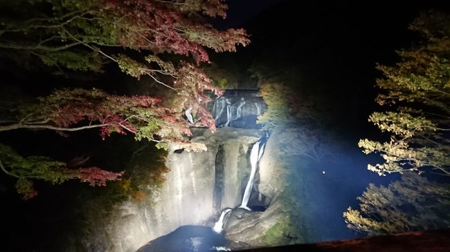 茨城県の袋田の滝で、今月からライトアップが始まったので、早速行って来ました。<br /><br />ついでに(笑)<br />水戸偕楽園下にある公園（偕楽園公園）のコスモスを見て<br />道の駅ひたちおおたでバイキングの昼食をとり<br />茨城の裏見の滝として有名な月待の滝へにも行って来ました。