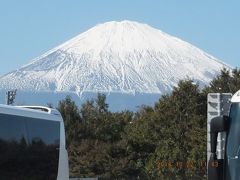 巨椋池跡地訪問