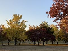 2018年11月慶州の紅葉を楽しむ旅①