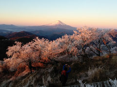 【塔ノ岳】元旦登山☆初日の出と赤富士！！！！！