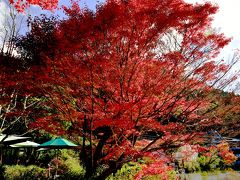 由布院の紅葉　2018