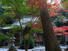 傷心癒す紅葉の社　今高野山　龍華寺