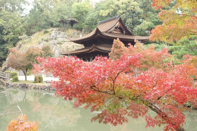 紅葉がぼちぼち見ごろを迎える時期になってきました。某観光都市は，休日の度にごったがえしており，名所は数あれど，紅葉をゆっくりと観るのは…。なので，今回は岐阜方面へ行ってきました！うん。某観光都市のようにとりあえず観光客が来る！というわけではないけど，落ち着いて紅葉を楽しめるのでこういうところの方が日本の美しさを感じられるなと思ったそんな休日です。