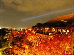 【2016年秋】紅葉の京都へ・夜間拝観編