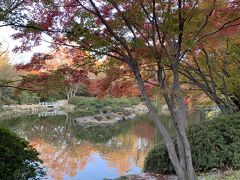 2018年11月慶州の紅葉を楽しむ旅②