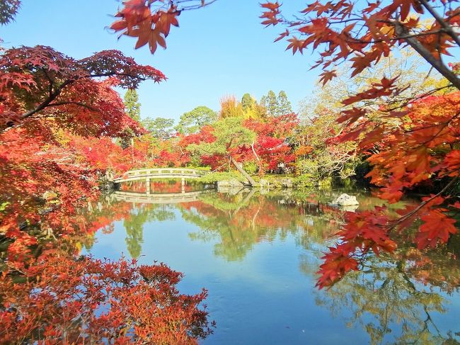 職場の旅行で、１泊２日で京都・奈良へ行ってきました。<br /><br />紅葉シーズンの土日の旅行だったため、<br />普段よりも多くの観光客で賑わっていましたが、<br />京都・奈良の紅葉スポットを存分に満喫することができました☆<br /><br />この旅行記の記録は、２冊に分けてまとめています。<br />（下記行程の◆が、本旅行記の該当部分です。）<br /><br />《１日目》<br />◇奈良公園（奈良市）<br />◇春日大社（奈良市）<br />◇東大寺（奈良市）<br />◇清水寺ライトアップ（京都市東山区）<br />◇三年坂・八坂の塔（京都市東山区）<br />◇八坂神社・石塀小路・祇園白川（京都市東山区）<br />◇京都市内(泊)<br /><br />《２日目》<br />◆永観堂（京都市左京区）<br />◆南禅寺（京都市左京区）<br />◆天授庵（京都市左京区）<br />◆清水寺（京都市東山区）<br />◆三年坂・八坂の塔（京都市東山区）<br />◆高台寺（京都市東山区）