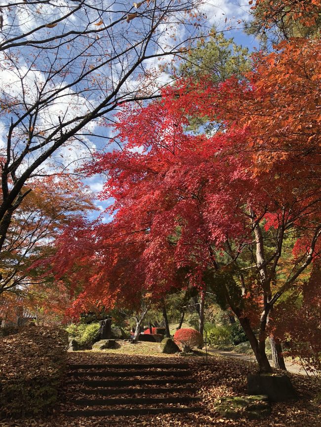 所用あり長野へ。長和町、立科町付近の紅葉を楽しみました。<br /><br />この時期に長野へ行くのは初めてなので、行く前から楽しみで仕方ありませんでしたが、夜の冷え込みは厳しかったです。屋内でも吐く息が白かった…。<br /><br />表紙の紅葉は、11/4に笠取峠の松並木で撮ったものです。