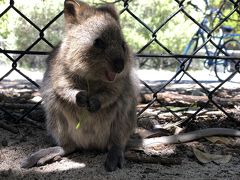 サイクリング