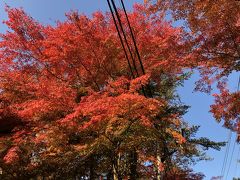 紅葉を見に軽井沢へドライブ