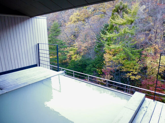 9月の旅行で硫黄泉に完全にKO.<br />以来<br />登別のお湯に魅せられっぱなしです。<br /><br />また登別に行きたいな~どこの宿に泊まろかな~と思案していたら、<br />丁度タイミング良く「北海道ふっこう割」が配布され、最大割引をゲット!<br />そうそう足を踏み入れられない高級宿へ初潜入。<br /><br />いやはや、ここの温泉もすんごかった。
