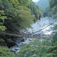 JALどこかにマイル第５弾　ひょいと秋の徳島、大歩危・祖谷渓に参る