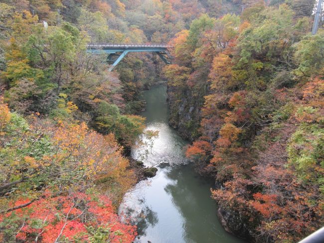 晴れおじさん「秋だ、紅葉だ、ドライブだ」その３