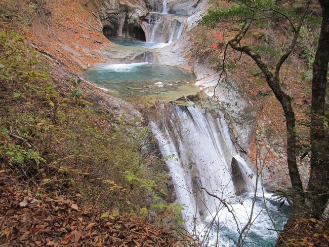 紅葉の西沢渓谷を散策してきました。<br />思ったより山道で歩きにくい場所もありましたが、とても綺麗な紅葉が楽しめました。